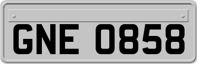 GNE0858