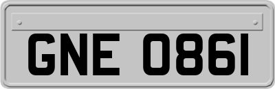 GNE0861