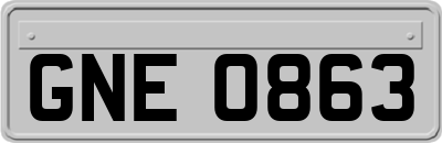 GNE0863