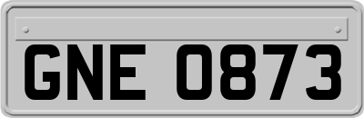 GNE0873