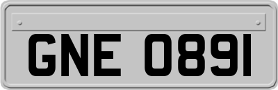 GNE0891