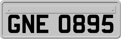 GNE0895