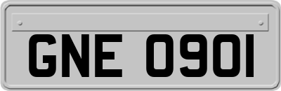 GNE0901