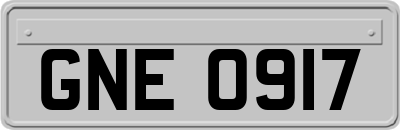 GNE0917