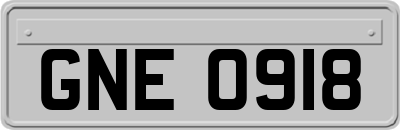 GNE0918