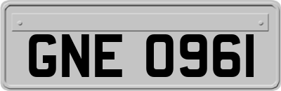 GNE0961