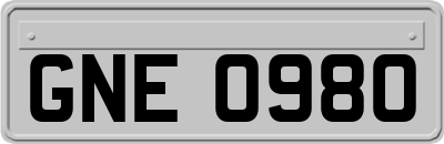 GNE0980