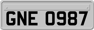 GNE0987