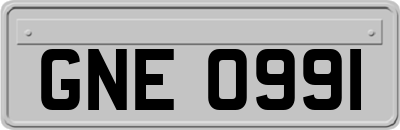 GNE0991