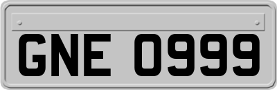 GNE0999