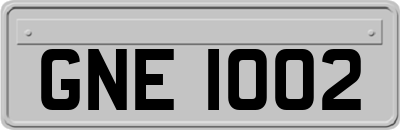 GNE1002