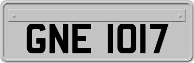 GNE1017
