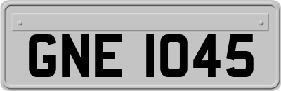 GNE1045