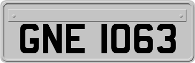 GNE1063