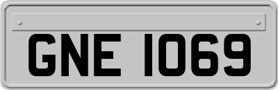 GNE1069