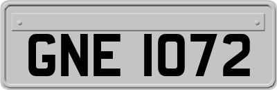 GNE1072