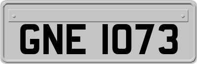 GNE1073