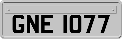 GNE1077