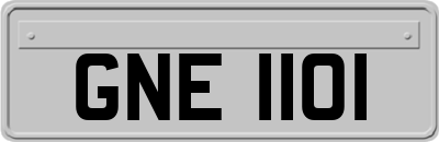 GNE1101
