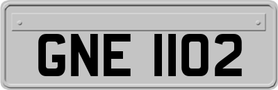 GNE1102