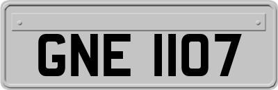 GNE1107