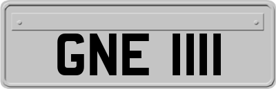 GNE1111