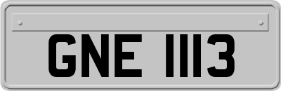 GNE1113