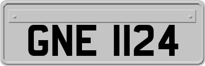 GNE1124