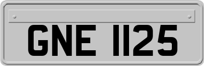 GNE1125