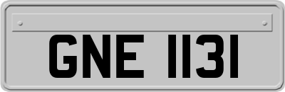 GNE1131