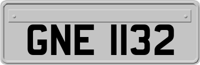 GNE1132
