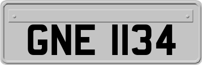 GNE1134