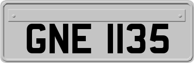 GNE1135