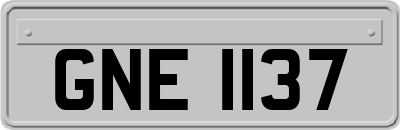 GNE1137