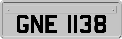 GNE1138