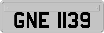 GNE1139