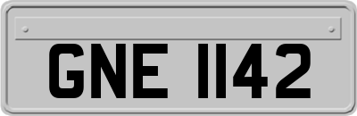 GNE1142