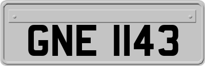 GNE1143