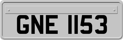 GNE1153