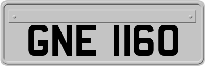 GNE1160