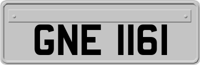 GNE1161