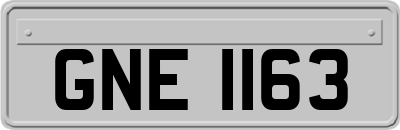 GNE1163