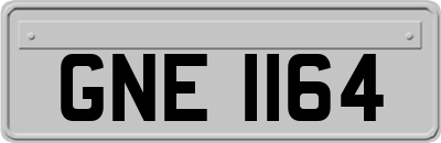 GNE1164