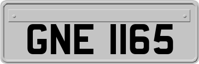 GNE1165