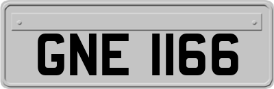 GNE1166