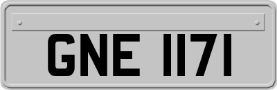 GNE1171
