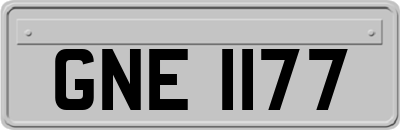 GNE1177
