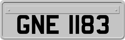 GNE1183