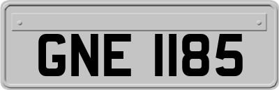 GNE1185