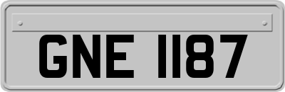 GNE1187